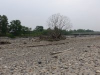 img (259)